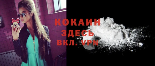 дживик Бронницы