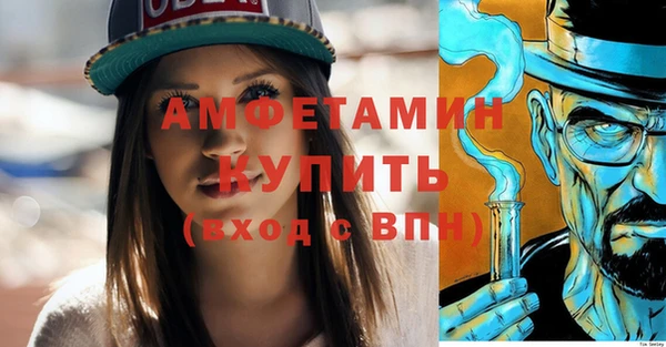 дживик Бронницы