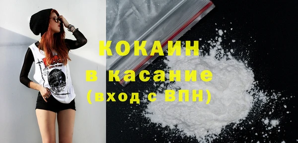 дживик Бронницы