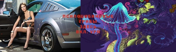 дживик Бронницы