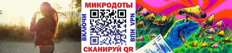 Галлюциногенные грибы Psilocybine cubensis  Купить  Полысаево 